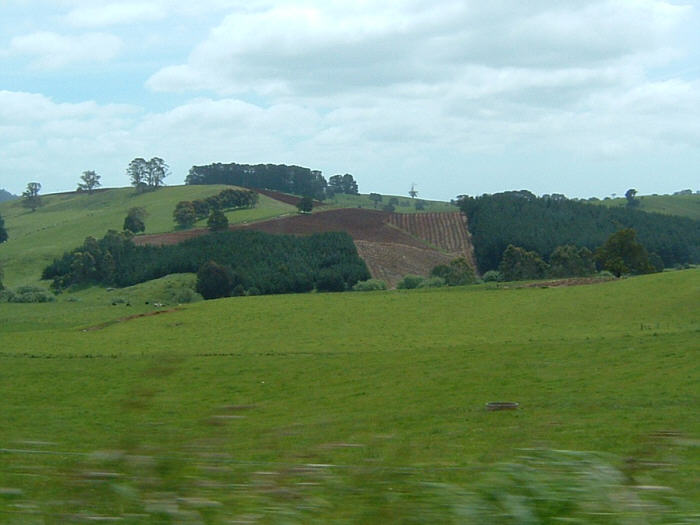 08 Tasmania.jpg